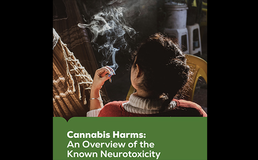 Cannabis Harms: An Overview of the Known Neurotoxicity and Thalidomide- like Genotoxicity of Cannabis.
