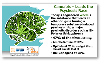 Race to Psychotic Disorders