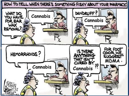 cartoon pharmCY